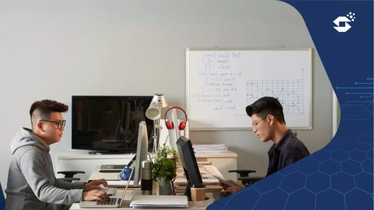 indonesian software house services