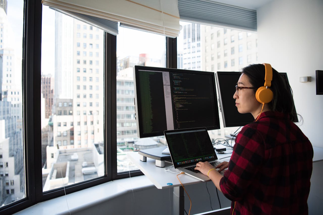 jasa web developer